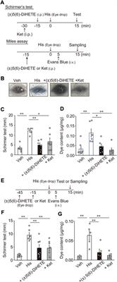 Alleviation of allergic conjunctivitis by (±)5(6)-dihydroxy-8Z,11Z,14Z,17Z-eicosatetraenoic acid in mice